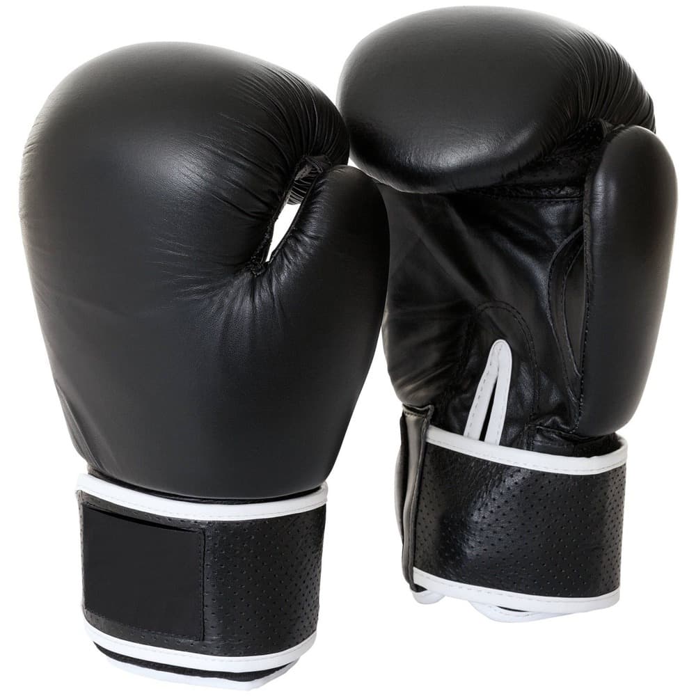 Boxing Gloves 08