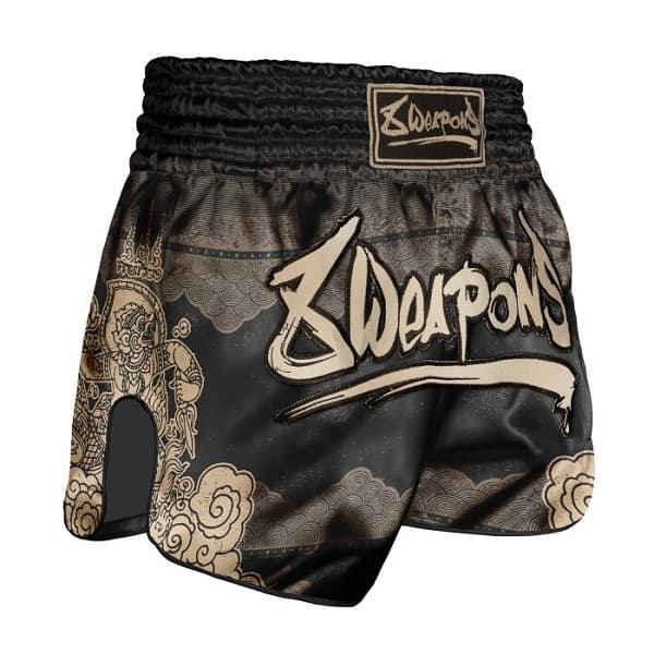 Muay Thai Shorts 18